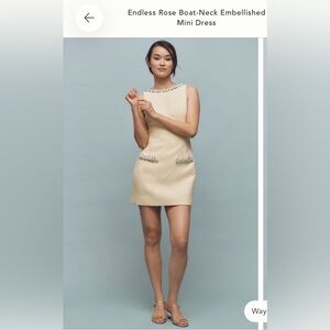 Endless Rose Boat- Neck Embellished Mini Dress